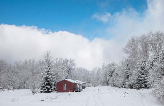 Pod Liščím kopcem 2+2 sauna - Photo 21