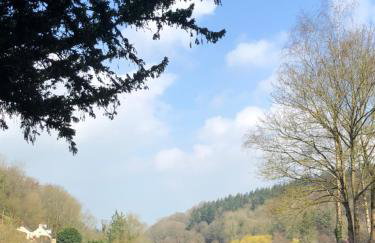 Royal Lodge - Foto 23