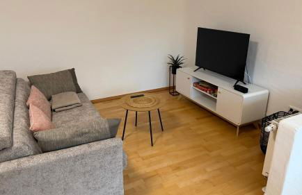 Ferienwohnung mit Terrasse Bodensee-Allgäu - Foto 1