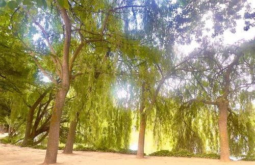 CaLQuEROL 2 penthouse in the downtown - Foto 14