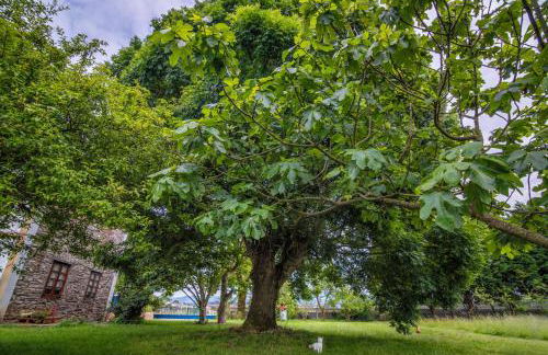 Casa de Aldea el Ferreirón - Foto 19