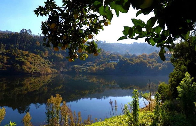 Forest Hideaway Near Douro Valley - Foto 29