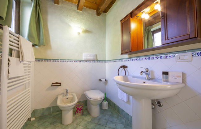 Mimosa in Hilly Area - Foto 10