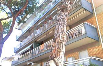 Trilocale vacanza Riccione - Foto 15