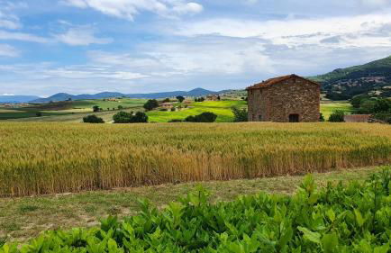 Vacanze Sant Andrea - Foto 57