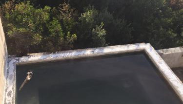 Villa Paradise Regained - Photo 5