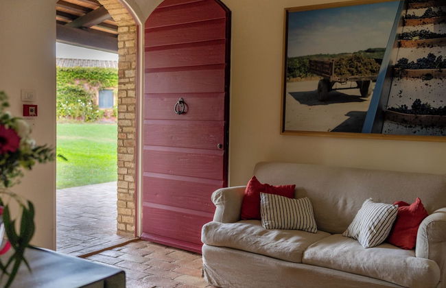 Tenuta Pianirossi - Photo 39