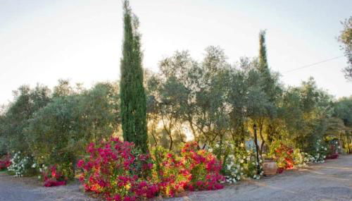 Agriturismo Il Riccio - Foto 4, Garden