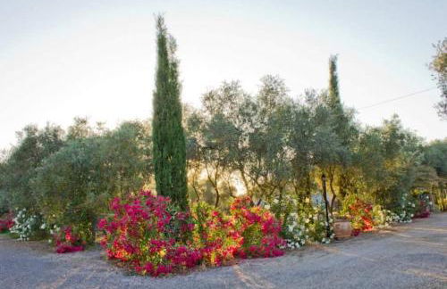 Agriturismo Il Riccio - Foto 4