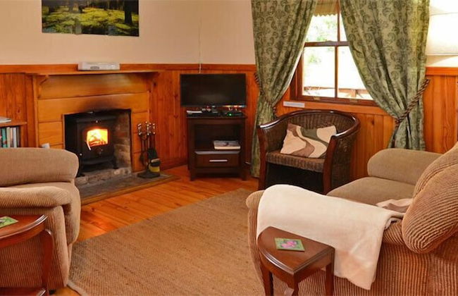 Forest Edge - Foto 26