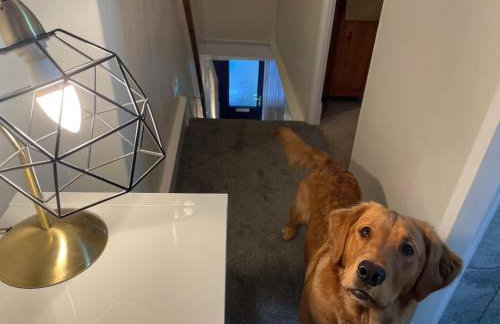 Muddy Paws Cottages - The Nook - Photo 21