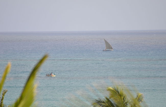 Gin and Jack Beach House - Foto 63