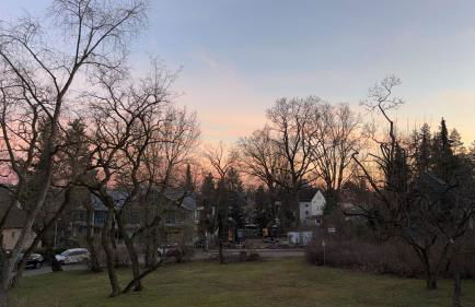 Ferienwohnung im Grünen - Foto 12