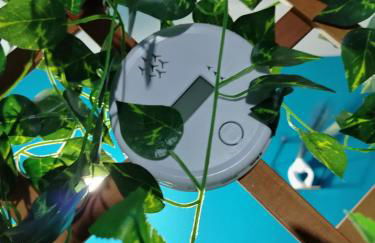 Casina Vitantonio Valmontone - Foto 9