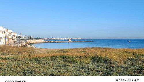 Il Melarancio del Salento - Foto 3