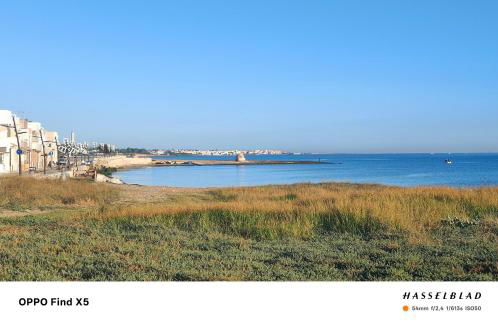 Il Melarancio del Salento - Foto 13