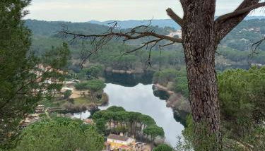El Madroño de la Encantada - Foto 4
