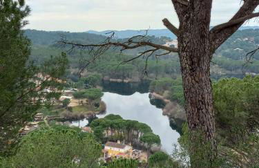 El Madroño de la Encantada - Foto 4