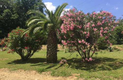 Résidence EMILIA - Foto 36