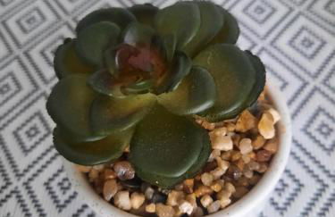 Marques studio - Photo 35