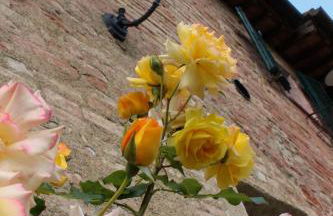 Agriturismo La Grotta Di Montecchino - Foto 71