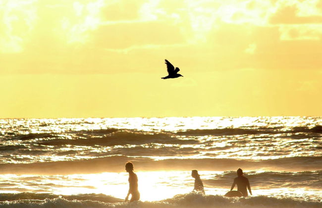 Modern Lodge With Dishwasher, Near the Sea - Foto 29