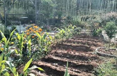 Casa 99 in Barbéns, Miranda do Corvo - Foto 23