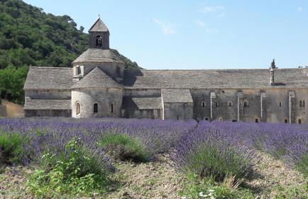 La maison du petit écolier - Photo 53
