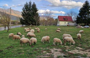 Plitvice Apis - Foto 49