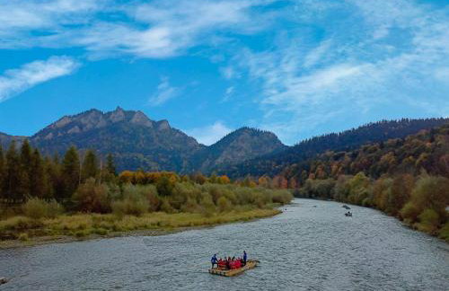 Hortensjowy Zakątek w Pieninach - Foto 30