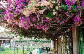 Limora' Tenuta Millaci - Foto 69