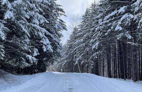 Modern Retreat with Sauna between Stowe and Waterbury - Foto 12