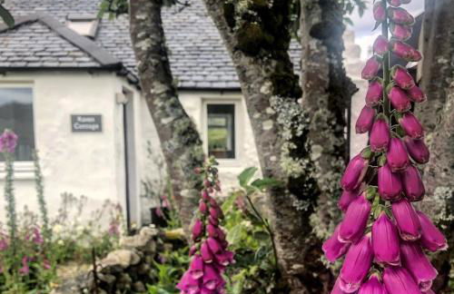 Raven Cottage - Foto 31