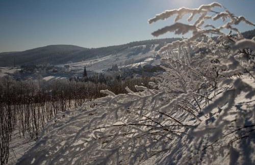 Apartamenty Zieleniec - Foto 11