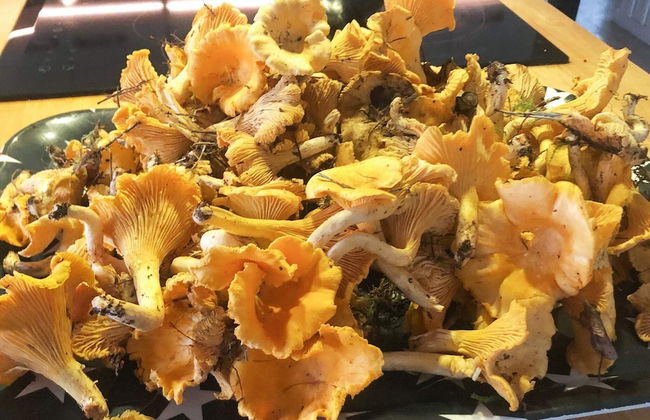 7 Person Holiday Home in Nassjo - Foto 14