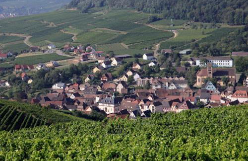 LA TÊTE AU SOLEIL - Foto 13