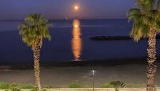 Petit Maison - Foto 4