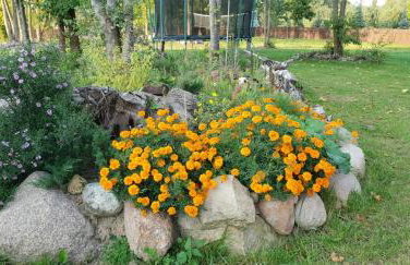 Aleksandrówka - Domek Anastazja - Foto 36