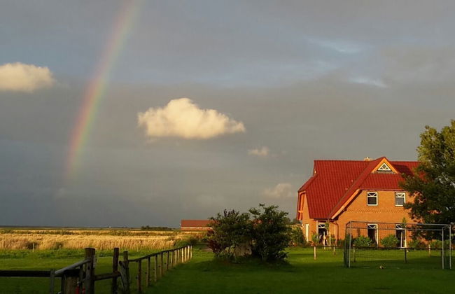 Ferienhof Schild - Foto 78
