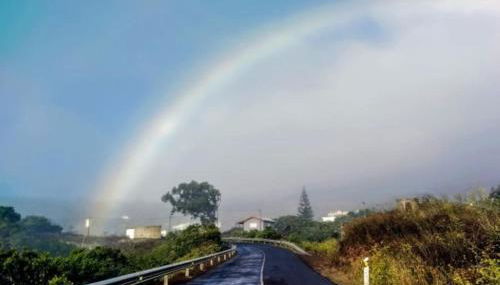 Casa de madera El jardín de Tara - Foto 2