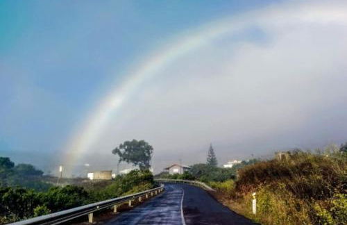 Casa de madera El jardín de Tara - Foto 2