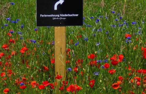 Ferienwohnung Niederbuchner - Photo 28