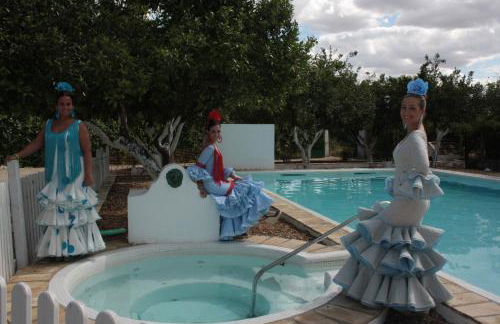 Huerta la Pimentada - Foto 53