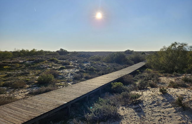 Tr ia Beach House With Pool - Foto 49