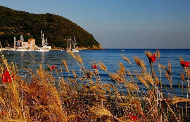 Agriturismo Villa Toscana - Foto 52