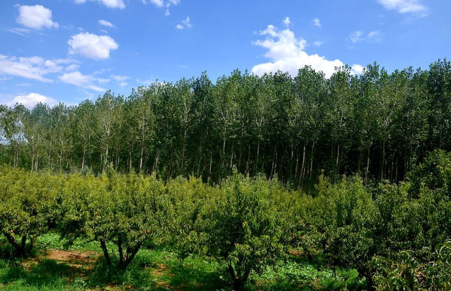 Cueva El Cortijo Gachas - Foto 35