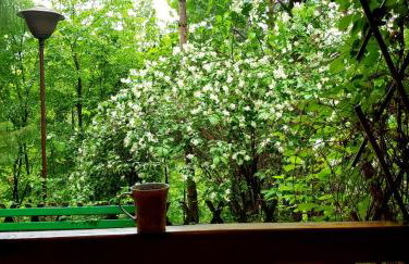 DOMEK LETNISKOWY MYSCÓWKA - Foto 39