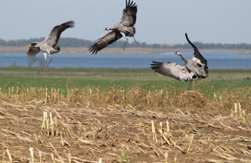 Ferienhaus am Radwanderweg - Foto 21