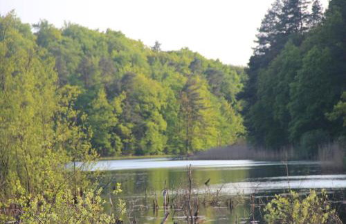 Holiday Flat in Kolczewo-70 qm for 6 Persons - Foto 32