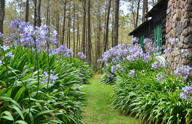 Villa Pajon Eco Lodge - Foto 61